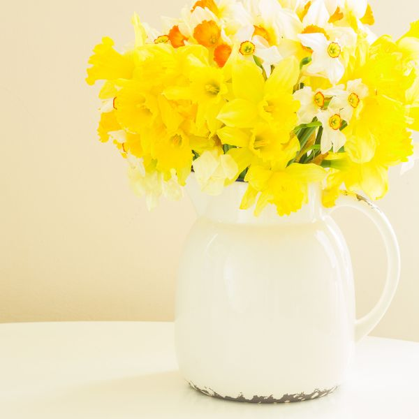 daffodils in vase on table